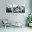 3 Piece Wrapped Canvas Wall Art