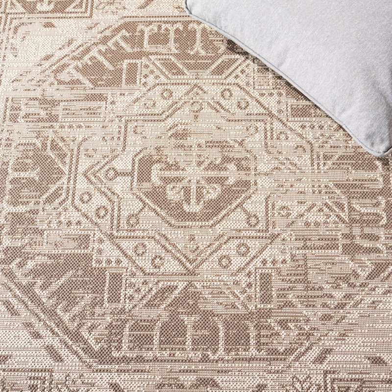 Amedee Performance Oriental Indoor/Outdoor Area Rug, Rectangle 5'3" x 7'7"