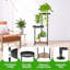 Plant Stand