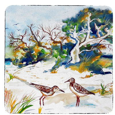 Arbres et sous-verres de plage