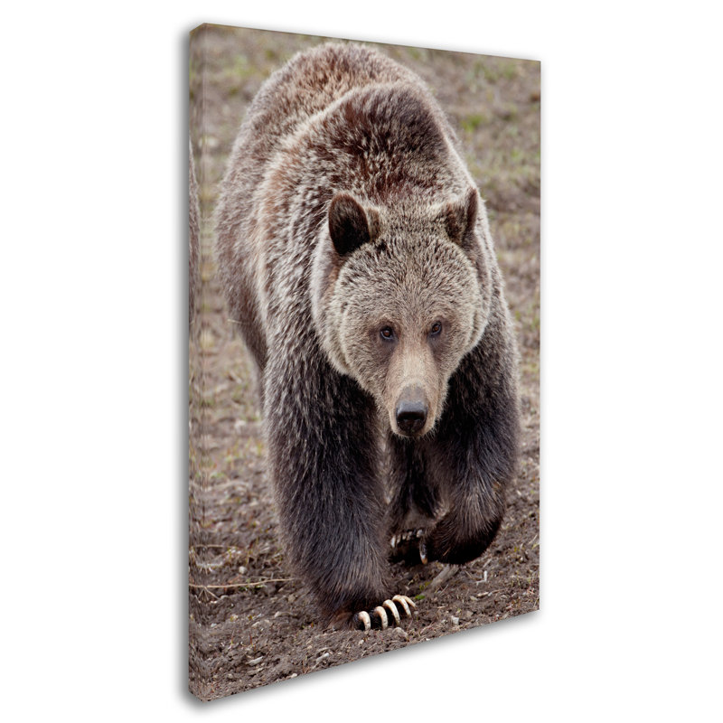 Ann "Bears", reproduction de photo sur toile tendue, H 24 po x l 16 po
