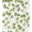 CAT COQUILLETTE EUCALYPTUS Peel & Stick Floral Roll-1426986581