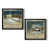 Black Framed Canvas is unavailable