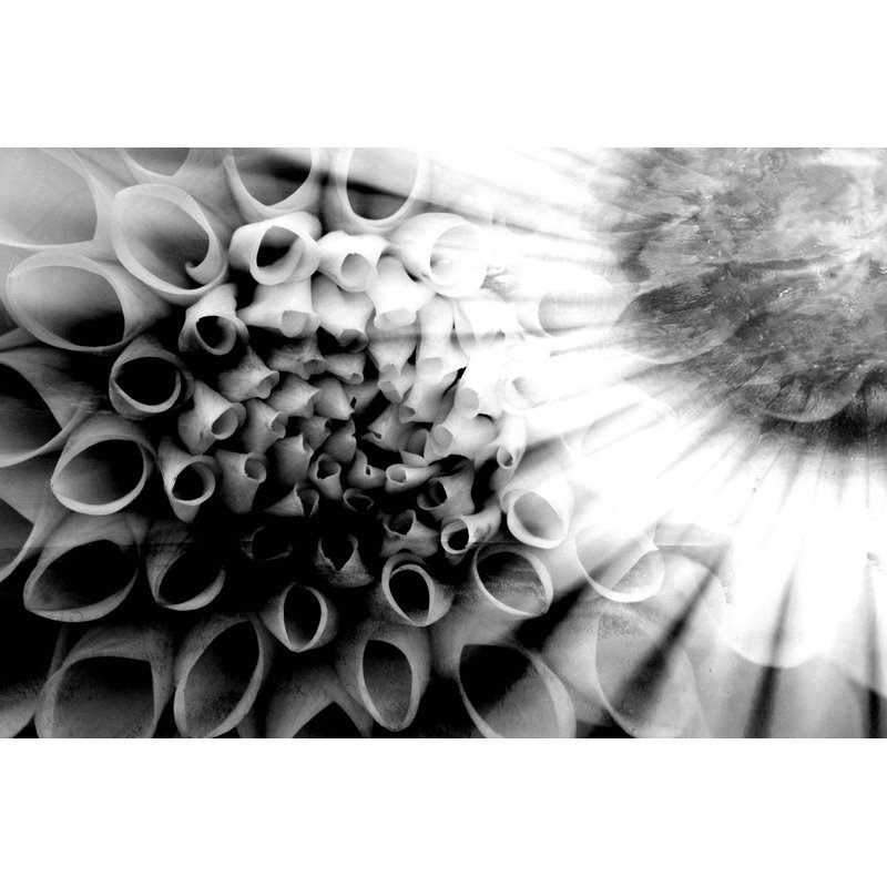 Parvez Taj - Wrapped Canvas Print, 30cm H x 45cm W
