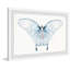 «Butterfly Beauty», impression encadrée-1290109205