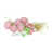 Rose Vert Blanc sélectionné