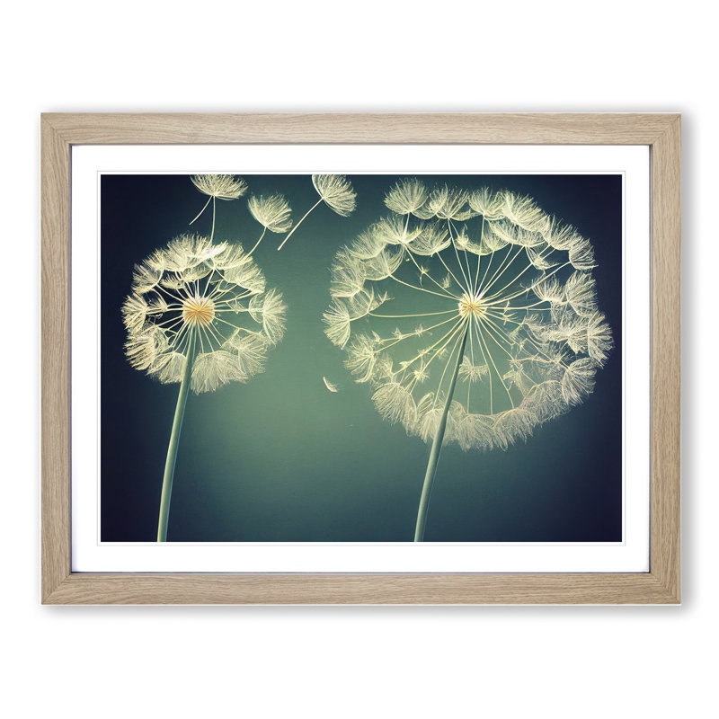 Royal Dandelion Flowers - Single Picture Frame Print, 25cm H x 34cm W x 2cm D, Oak Framed