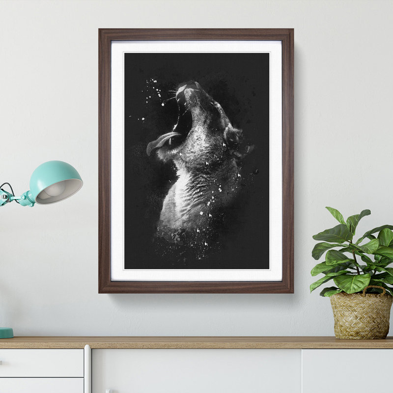 Yawning Lioness - Picture Frame Graphic Art Print, Walnut Framed, 87cm H x 62cm W x 2cm D