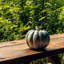 Pumpkin - Crystalline