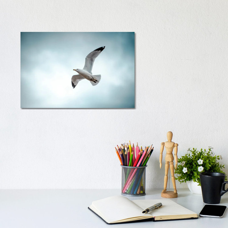 Seagull At The Take Off by Nik Rave - Wrapped Canvas Print, 20.32 cm H x 30.48 cm W
