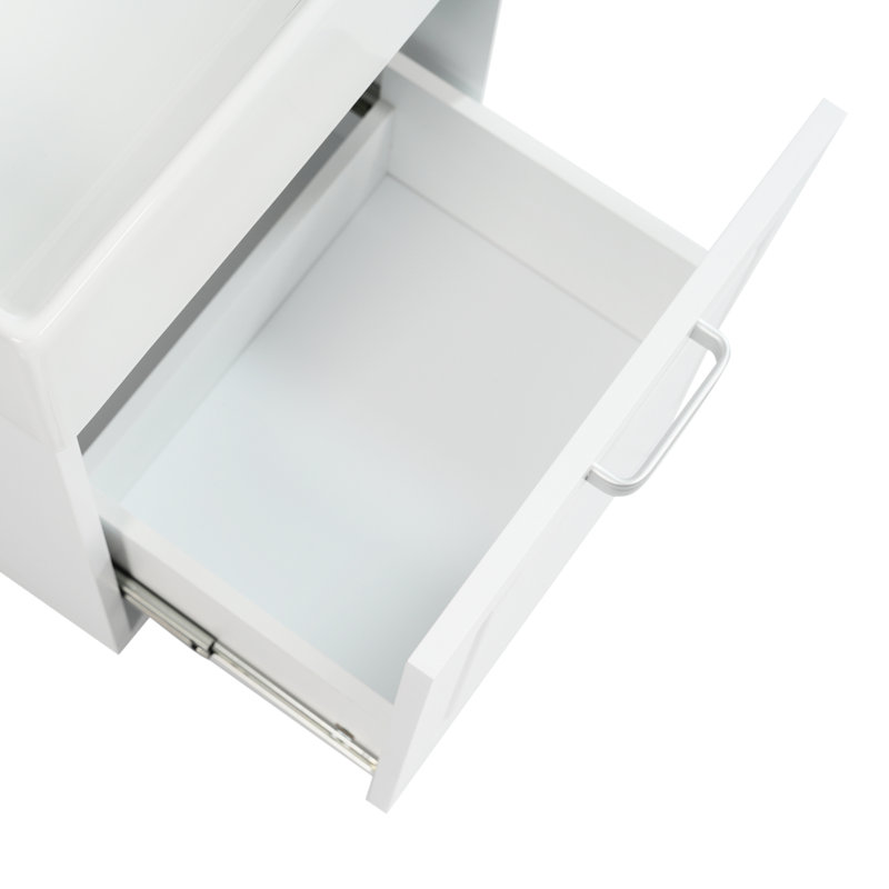 Meuble-lavabo de 21,8 po avec conception murale, lavabo en céramique facile à nettoyer, rangement sous le lavabo, tablettes réglables à 2 niveaux et porte-papier hygiénique, blanc, finition peinte, un paquet