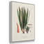 Botanical Society Ferns IV, reproduction encadrée sur toile 3 pièces-91891701-91891702