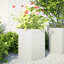 Arzate Planter Box-2059468694