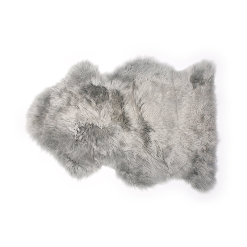 Tapis intérieur / extérieur Novelty Wynetta, Nouveauté 2 pi x 3 pi