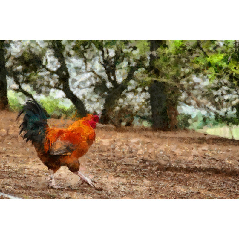 Rooster In Yard - Wrapped Canvas Print, 81cm H x 122cm W x 3.8cm D