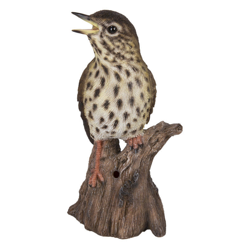 Statue sur pied songbird sur les souches