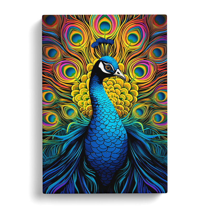 Peacock Op - Wrapped Canvas, 76cm H x 50cm W x 3cm D