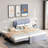 Upholstery Platform Bed With Multifunctional Trundle-801176939