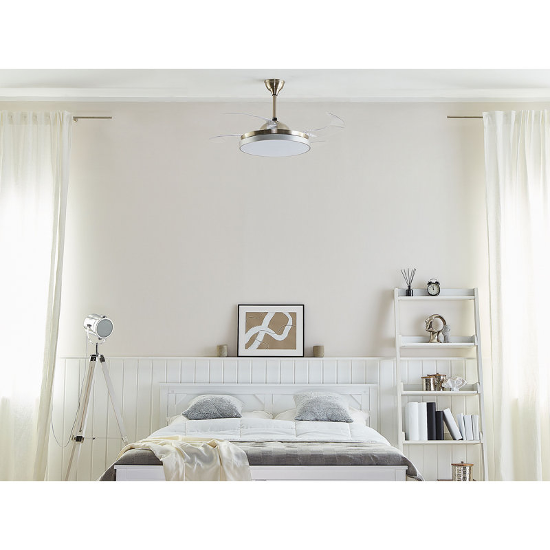 Botelho Ceiling Fan with Light Kit