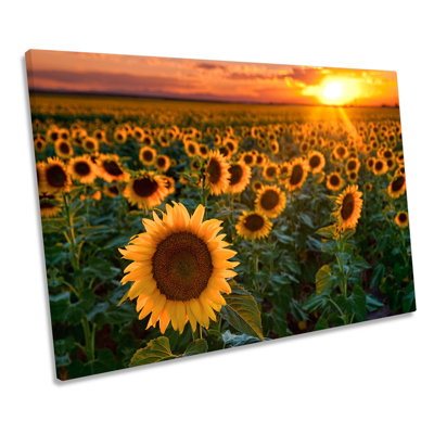 Sunflower Sunset Floral - Wrapped Canvas Print
