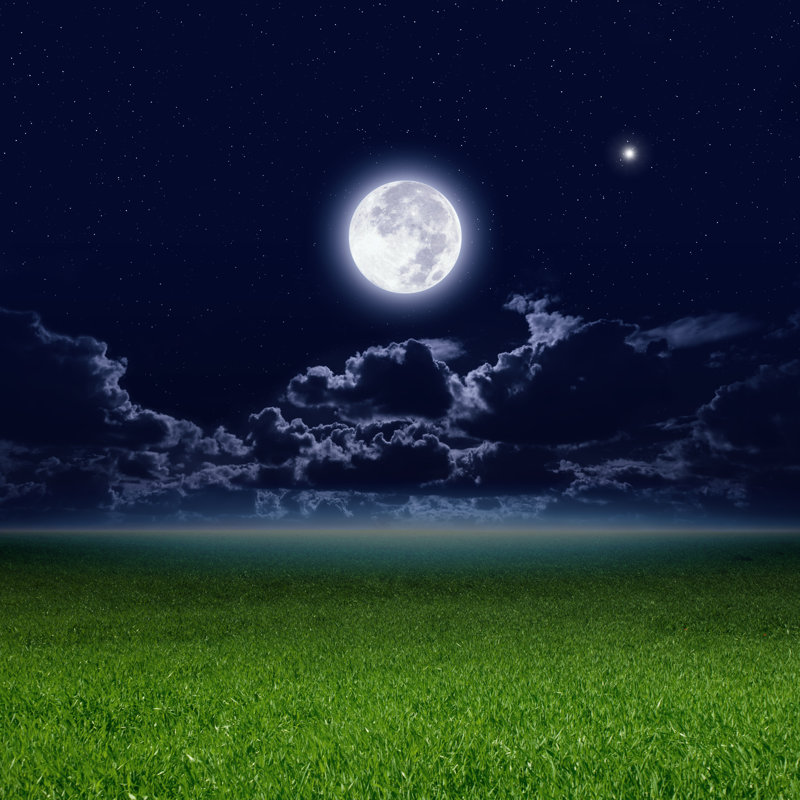 " Full Moon " by Ig0Rzh, 12" W x 12" H