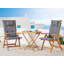 Benevento Folding Patio Dining Armchair with Cushion