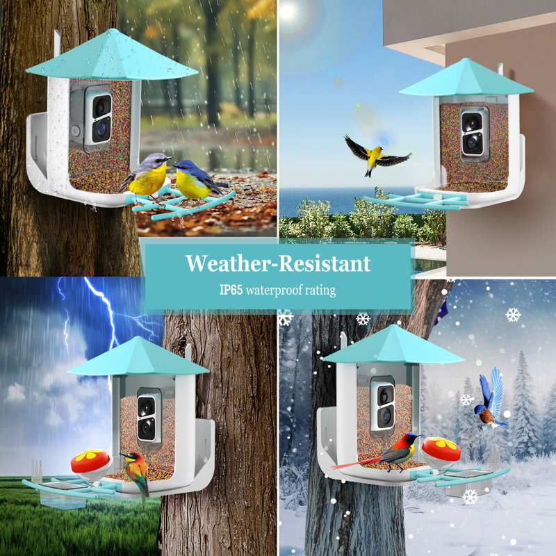Security Camera Outdoor, Bird Feeder Camera, Auto Capture Bird & Motion Detection