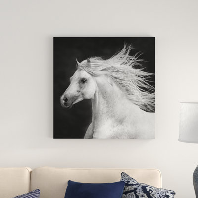 " B&W Horses IV "
