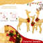 Tissu de décoration de Noël-772121430
