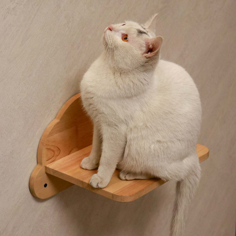  Marches pour chat, tablette pour chat, marches pour chat, échelle pour chat | Bois d'hévéa