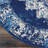 Burnie Oriental Blue/White Area Rug-1160519434