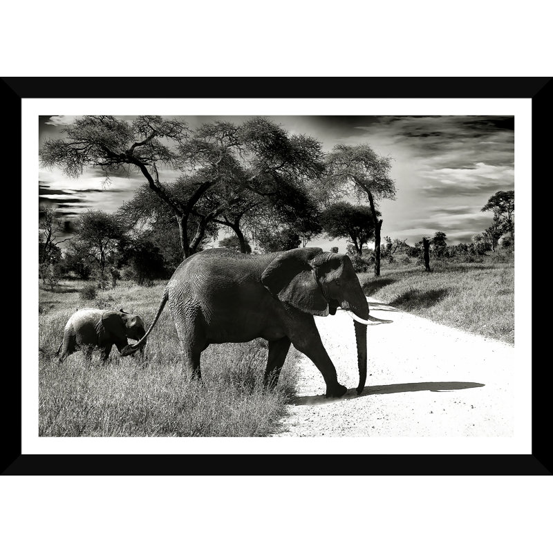 African Elephants Giclee Print by Lisa Pevaroff