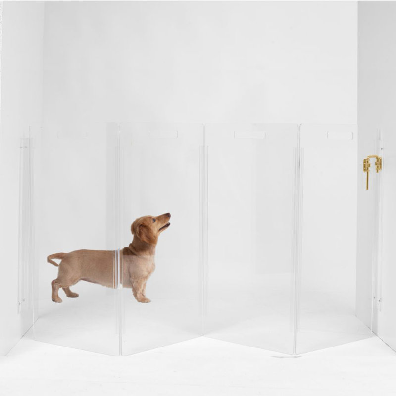 Barrière murale haute pour animaux Zig Zag , 4 panneaux, Doré