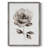 Grace I Framed Print - Solid Wood-1718462650