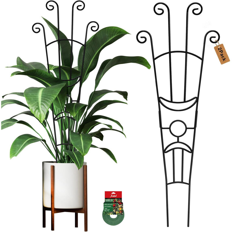 2-Pack Rust-Resistant Metal Plant Trellis – Expandable Support for Climbing Potted Plants