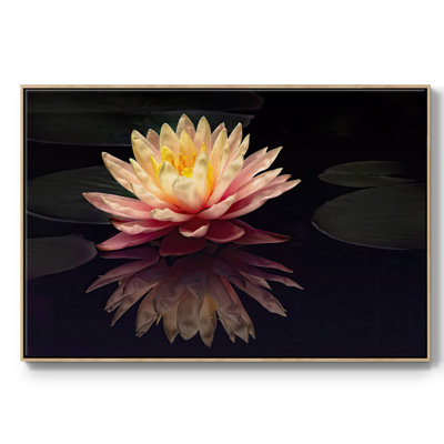 Photographie, étude, nénuphar encadré sur toile