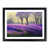 Black Framed selected