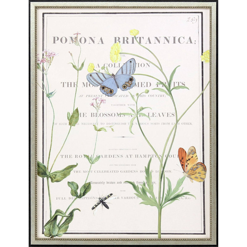 Ephemeral Bloom Print