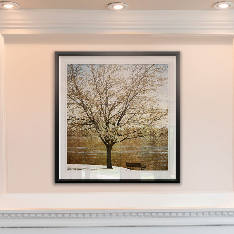 «Lonely Tree in Sun», reproduction de cadre photo sur papier, H 30,5 po x l 30,5 po x P 1,5 po