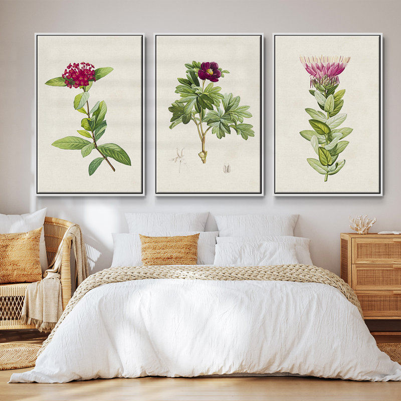 «Pretty Pink Botanicals II», ensemble de 3 toiles encadrées, H 36 po x l 72 po, Blanc