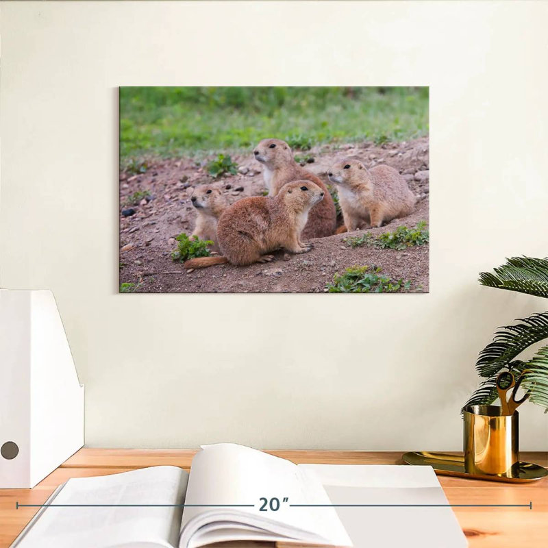 Brampt Forest Brampt Nursery, 8" H x 12" W