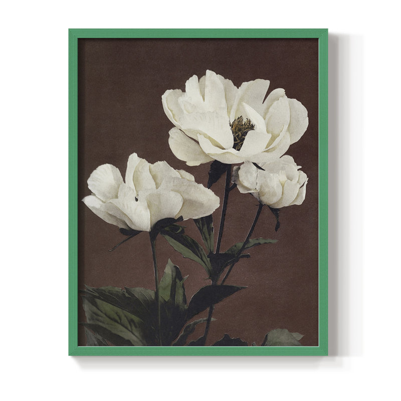 Reproduction florale rétro encadrée, bois massif, Vert, H 11 po x l 9 po