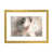 Gold Framed Paper is unavailable