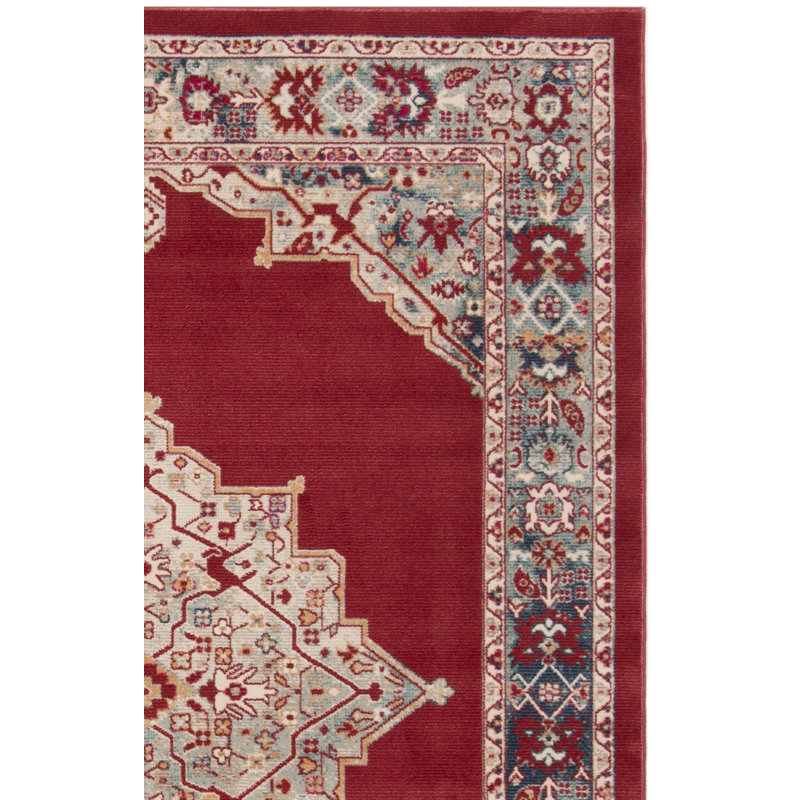 Doucet 300 Pes/Cotton/Pp/Latex Oriental Rug in Red/Aqua, Runner 2'9" x 8'