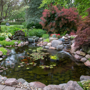 Aquascape Medium Pond Kit 11' x 16' With 3-Pl 3000 Pond Pump | Wayfair