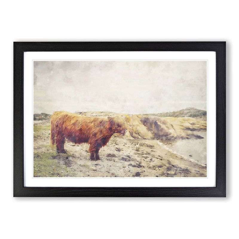 Highland Bull Cow Vol.3 - Framed Print, Black Framed, 27cm H x 36cm W x 2cm D