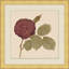 Pressed Flowers 3 Print