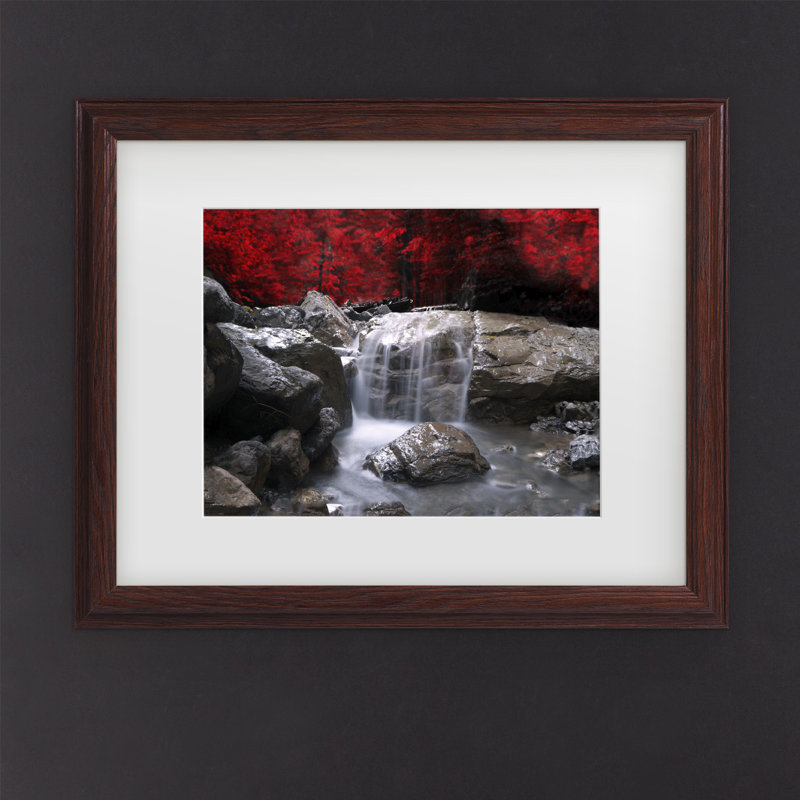 «Red Vison», impression sur toile, H 11 po x l 14 po x P 0,5 po, Impression encadrée, Black