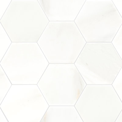 Carrelage mural en marbre poli Iona Mist Hexagon 8 po x 9 po
