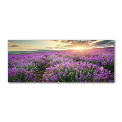 Lavender Field - No Frame Print on Canvas